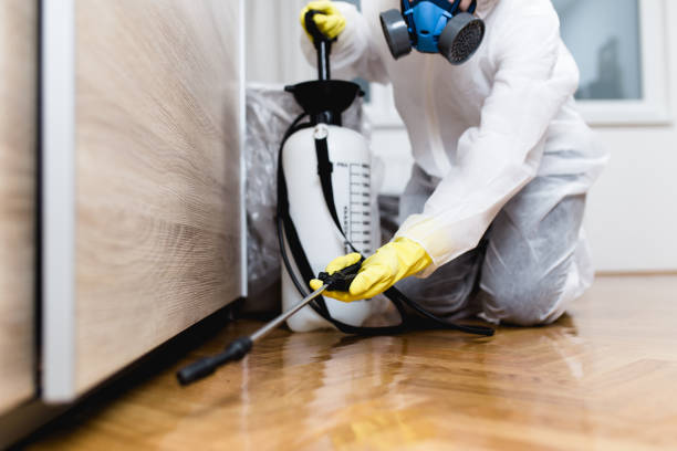 Best Rat Extermination Near Me  in Hilbert, WI