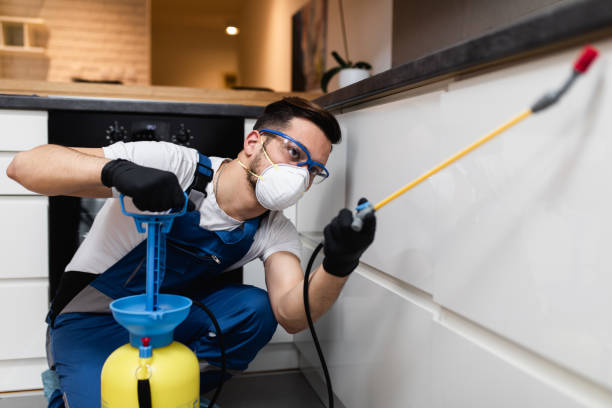 Best Best Pest Control Companies  in Hilbert, WI