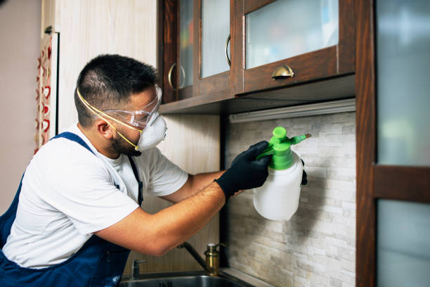 Best Rat Extermination Near Me  in Hilbert, WI