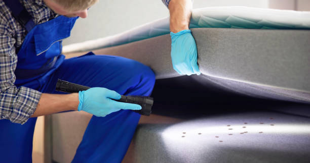 Best Ant Control Services  in Hilbert, WI