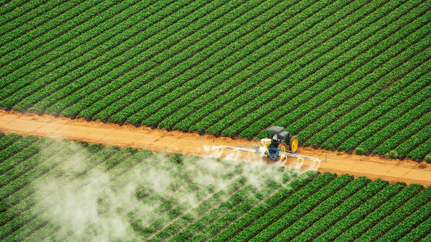 Best Mosquito Control Services  in Hilbert, WI