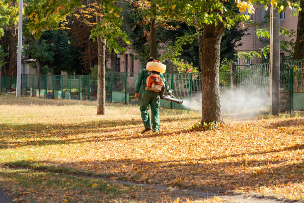 Best Exterminator Services  in Hilbert, WI