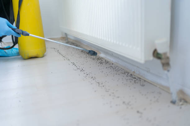 Best Wildlife Control Services  in Hilbert, WI